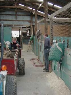 Early years of my boarding at the barn with Dody and Marilyn