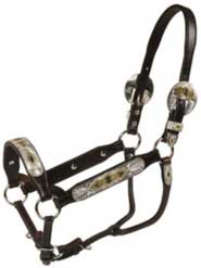 Tory Leather Rochester Congress Halter- Show Halters